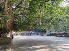 -水濂山森林公园