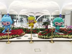 -杭州萧山国际机场