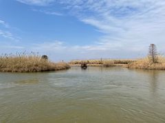 -宁波杭州湾国家湿地公园