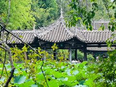 -三苏祠