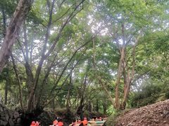-天目湖松岭竹海漂流