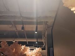 -乐园夜市场(五道口王庄路店)