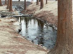 -白水寺森林公园