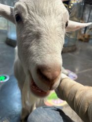 -Zoolung Zoolung动物主题公园(海信广场店)