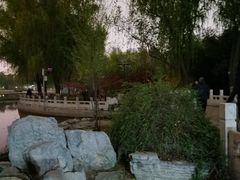 -莲花池公园
