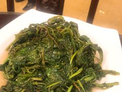 -新聚丰菜馆(太监弄店)