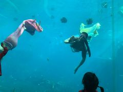 -瑞德姆美人鱼海底演艺主题餐厅(亚龙湾店)
