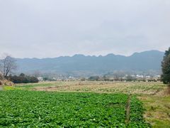 -黟县屏山村