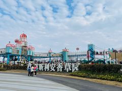 -季高兔窝窝亲子园(上海薰衣草公园店)