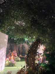 -大树儿童摄影