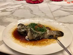 -顺德美的万豪酒店-万豪中餐厅
