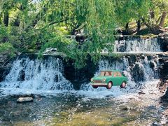 -长白岛森林公园