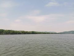 -西湖外事游船(花港观鱼码头)