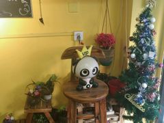 -志龙皇冠吃货椰子铺