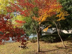 -石湖景区