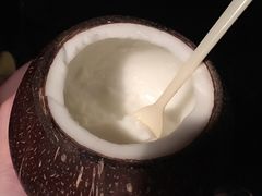 -志龙皇冠吃货椰子铺