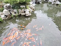 -拙政园