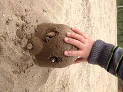 千岛湖开元度假村-杭州千岛湖开元度假村