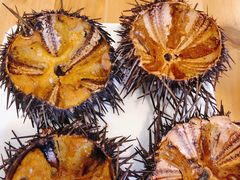 -海胆小馆(东北水饺·春柳店)