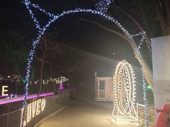 -枫花园汽车电影院(朝阳公园店)
