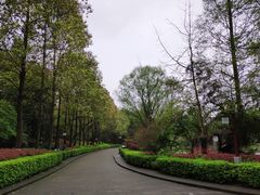 -邓小平故里