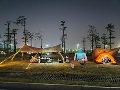 -芒洲湿地公园