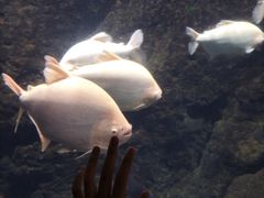 -南昌海洋公园