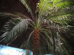 -上海南站
