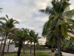 -三亚航空旅游职业学院