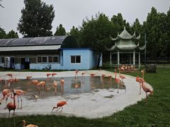 -秦皇岛野生动物园
