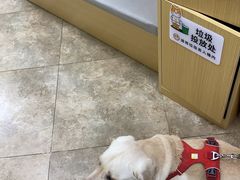 -美联众合动物医院·24h转诊中心