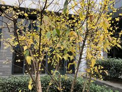 -四川大学(江安校区)