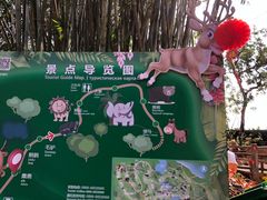 -海南热带野生动植物园