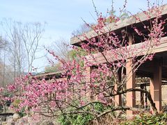 -宝界山林公园
