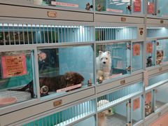 -FAELING PETS美天灵宠物(合生汇店)