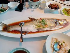 清蒸太湖白鱼-翡翠江南(国贸商城店)