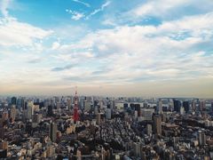 -六本木新城展望台(东京城市景观)