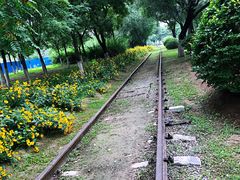 -永定河休闲森林公园