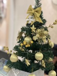 -本真坊美容美体沙龙