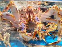 -大润发(康桥店)