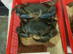 -龙海鲜螃蟹王(宏茂桥店)