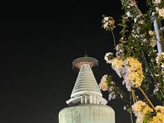 -杏园餐厅(阜成门店)