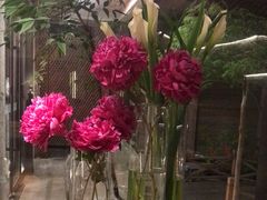 -花锦堂·隐庐