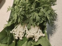 涮菜拼盘-和庆斋羊蝎子火锅·碳缸烧烤(顺义旗舰店)