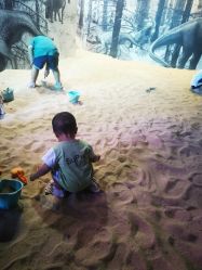 -恐龙探索乐园(磁器口店)