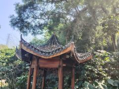 -金鸡山公园