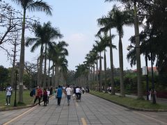 -厦门大学(思明校区)