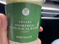 -茉酸奶(高科山姆店)