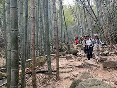 -莫干山风景区