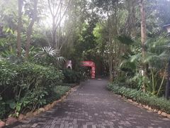 -嘉和K6温泉微度假